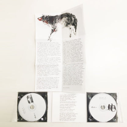 The New Raemon - Quema la memoria - 2xLP