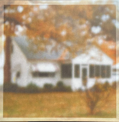 Lungfish - Rainbow For Atoms - LP - Color