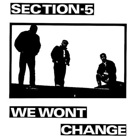 Section 5 - We Wont Change - LP - Color
