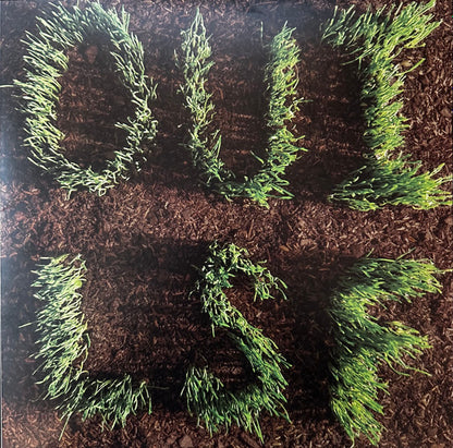 Les Savy Fav - OUI, LSF - LP - Color