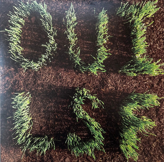 Les Savy Fav - OUI, LSF - LP - Color