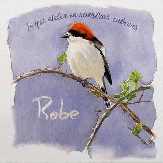 Robe - Lo Que Aletea En Nuestras Cabezas - LP + CD