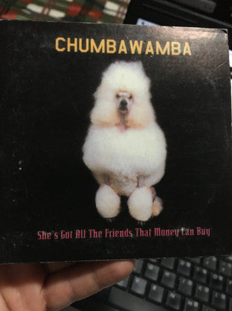 Chumbawamba – She's Got All The Friends That Money Can Buy - CD, Single, Promo, Card Sleeve - Edición Mexicana / Mexican Edition - Muy Buen Estado / Very Good Condition (VG+ / VG+) - Restos de Pegatina de Precio / Price Sticker Residue