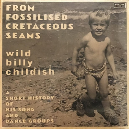 Wild Billy Childish - From Fossilised Cretaceous Seams: A Short History Of His Song And Dance Groups (2xLP, Comp)