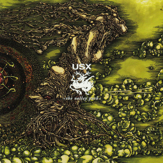 USX – The Valley Path - CD - Como Nuevo / Like New (M- / M-)
