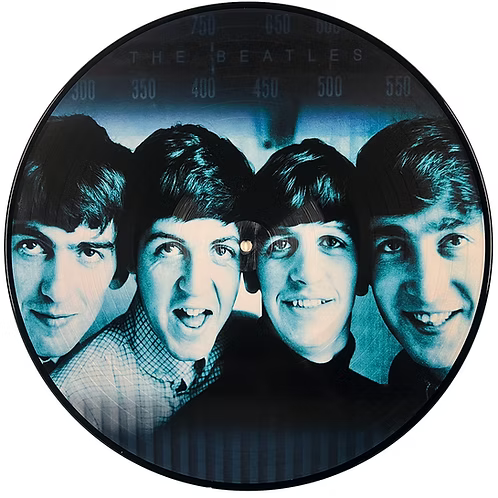 BEATLES LP The Covers (Picture Disc)