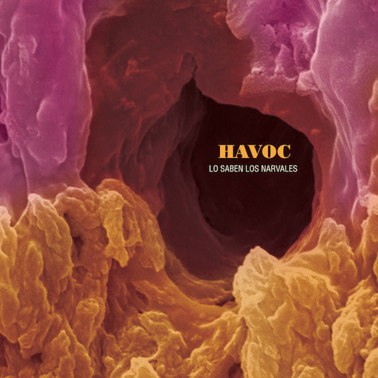 Havoc – Lo Saben Los Narvales - CD - Digipak - 2014 - Subterfuge Records – 210074SUB