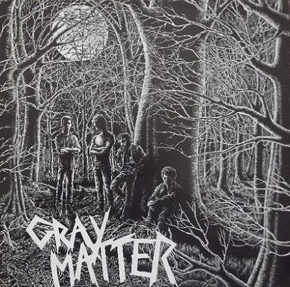 Gray Matter – Food For Thought - LP - 1990 - 	Dischord Records – DISCHORD 48 - Muy Buen Estado / Very Good Condition (VG+/VG+)