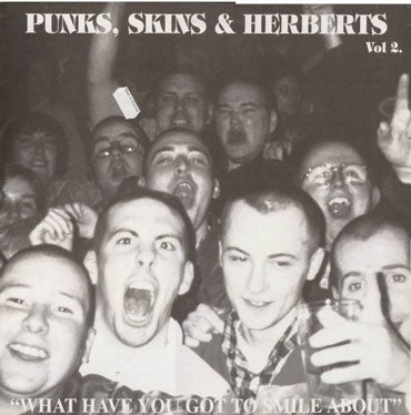 V/A: Punks, Skins & Herberts Vol. 2 LP