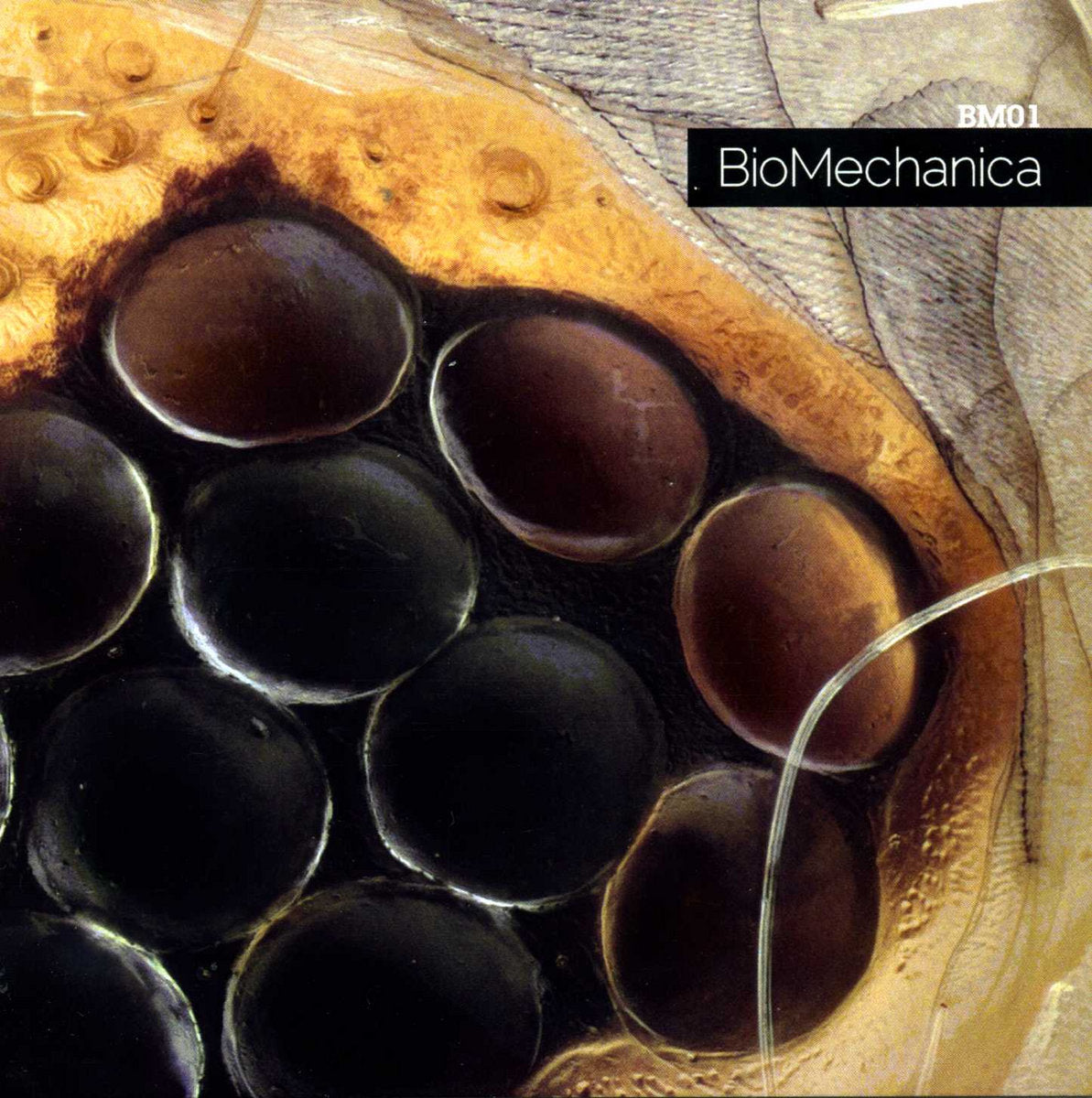 BioMechanica – BM01 - LP - 2012 - Geometrik – GR 2127LP - Vinilo Nuevo / Portada Muy Buen Estado (M/VG+)