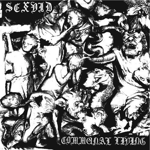 Sex Vid – Communal Living - LP - 2008 - Dom America – DOM US 19 - Incluye Insert / With Insert - Vinilo Como Nuevo / Portada Como Nueva (M-/M-)