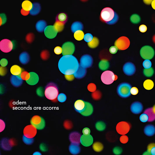 Adem – Seconds Are Acorns - LP - 2015 - Label Oneiric – ONEI001LP