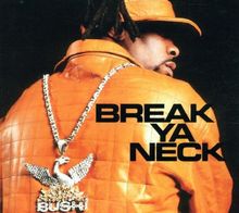 Busta Rhymes - Break Ya Neck - CD - USADO / USED (VG+ / VG+)