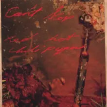 Red Hot Chili Peppers - Can'T Stop - CD - CD Muy Buen Estado / Portada Muy Buen Estado (VG+/VG+)
