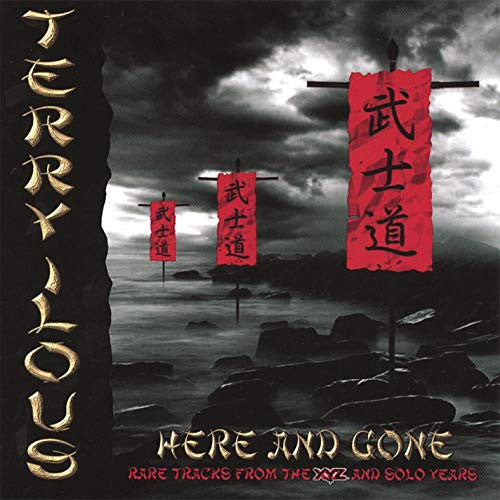 Terry Ilous ‎– Here And Gone - CD