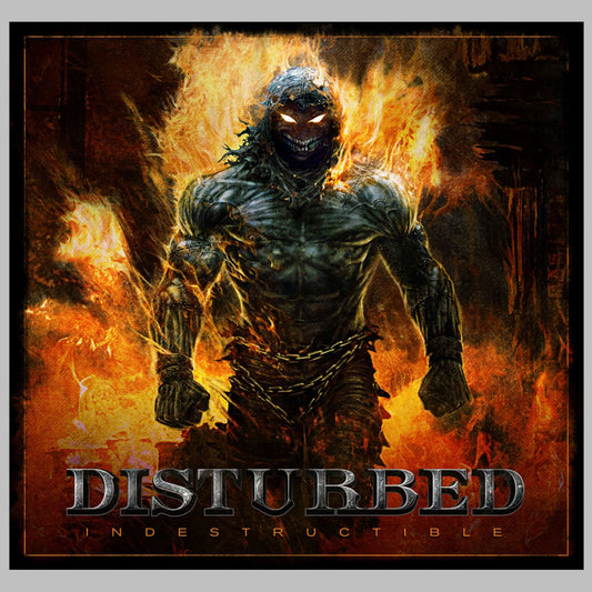 Disturbed ‎– Indestructible - LP - 2015 - Reprise Records ‎– 9362-49282-9