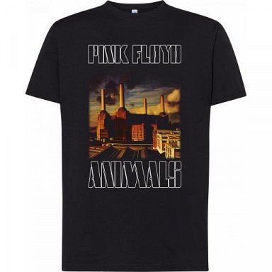 Pink Floyd - Camiseta / T-Shirt / Tallas – Sizes: S/M/L/XL/XXL