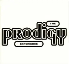 The Prodigy - Experience - CD - CD Muy Buen estado / Portada Muy Buen Estado (VG+/VG+)