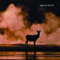 Tiger By The Tail – Tiger By The Tail - LP - 2006 - Bang! Records – Bang! - LP9 - Vinilo Muy Buen Estado / Portada Muy Buen Estado (VG++/VG++) - DISPONIBILIDAD INMEDIATA / IMMEDIATE AVAILABILITY.