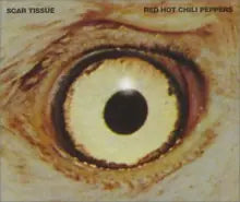 Red Hot Chili Peppers - Scar Tissue/Gong Li/Instrument - CD - CD Muy Buen Estado / Portada Muy Buen Estado (VG+/VG+)