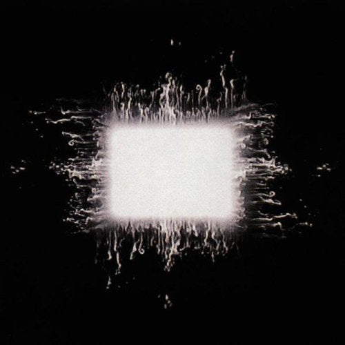 TOOL 2xLP Aenima (Gatefold Cover and Insert) 180 Gram Heavyweight Vinyl - 2020 Reissue