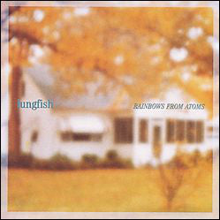 Lungfish - Rainbows For Atoms - LP Color - Dischord Records