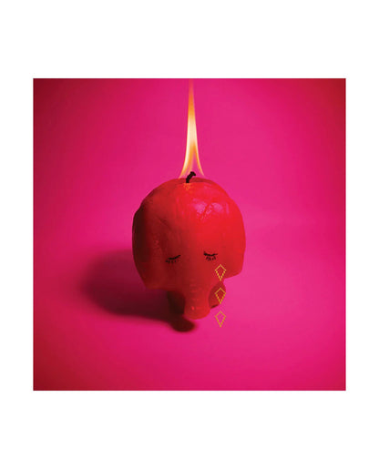Arcade Fire - Pink Elephant - CD