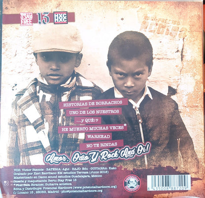 Bisonte 1312 - Amor, Odio Y Rock And Oi! (12")
