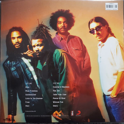 Bad Brains ‎– Rise - LP - 2022 - The Control Group ‎– CG0113