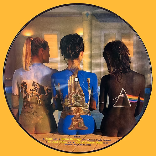 PINK FLOYD LP Rare Beauties (Picture Disc)
