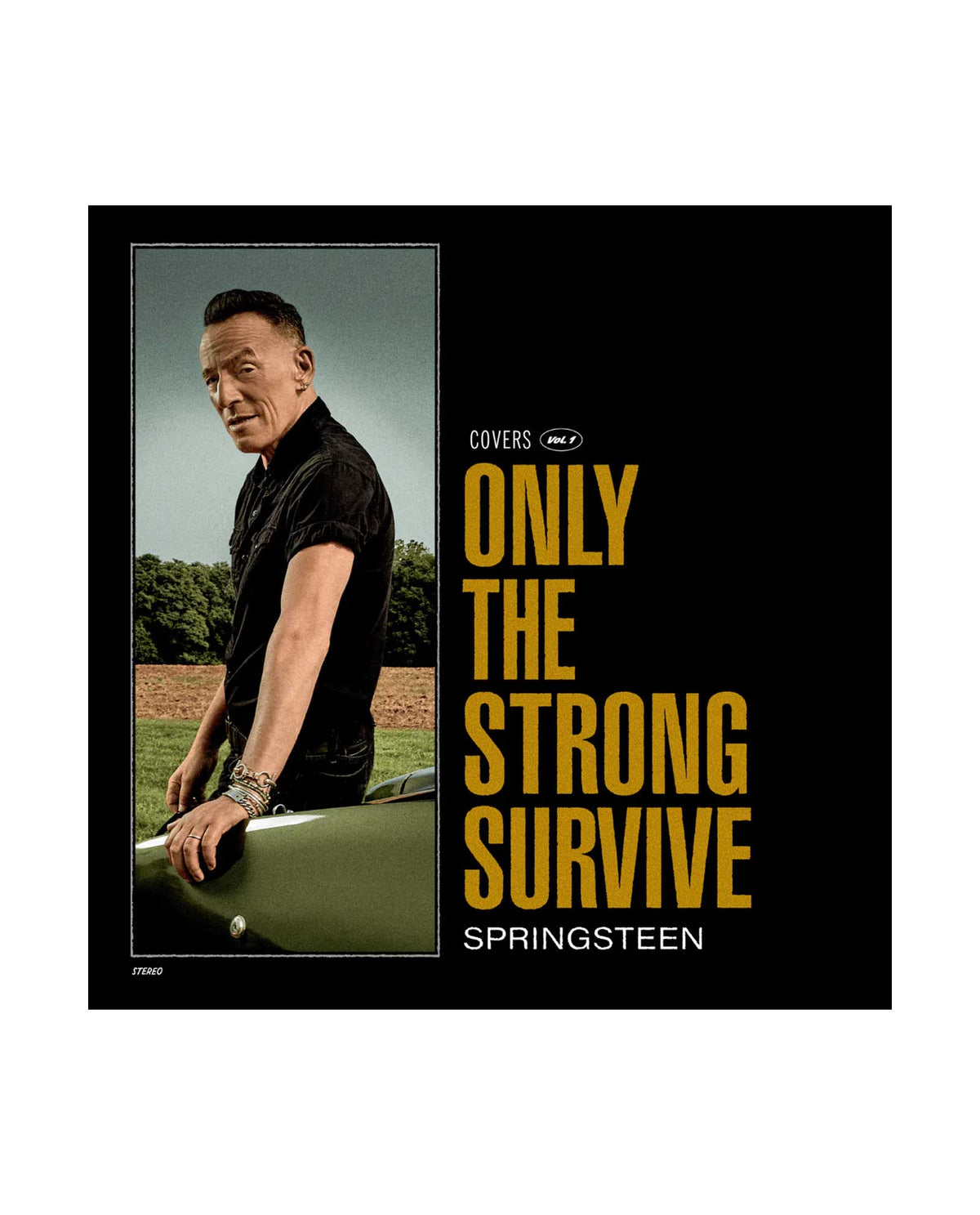 Bruce Springsteen - Only the strong survive - CD