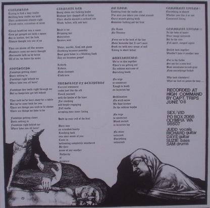 Sex Vid – Communal Living - LP - 2008 - Dom America – DOM US 19 - Incluye Insert / With Insert - Vinilo Como Nuevo / Portada Como Nueva (M-/M-)
