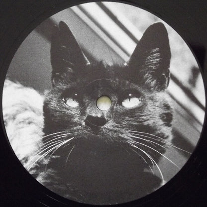 Gray Matter – Food For Thought - LP - 1990 - 	Dischord Records – DISCHORD 48 - Muy Buen Estado / Very Good Condition (VG+/VG+)