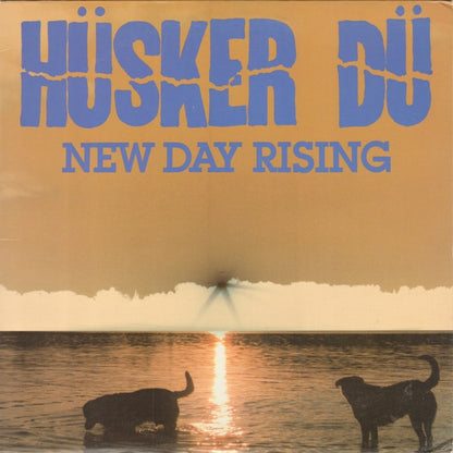 Hüsker Dü - New day rising - LP