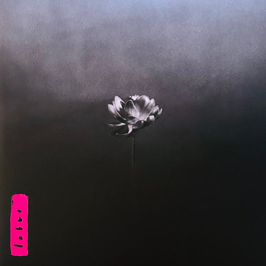 Little Simz - Lotus - 2xLP