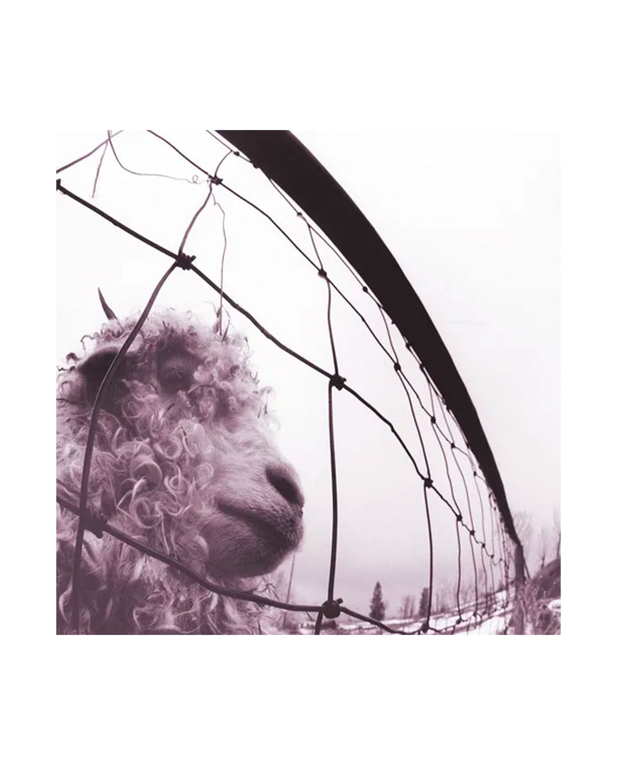 Pearl Jam - Vs (30th Anniversary Edition) - 2xLP