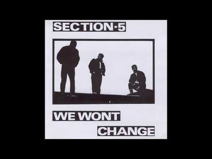 Section 5 - We Wont Change - LP - Color