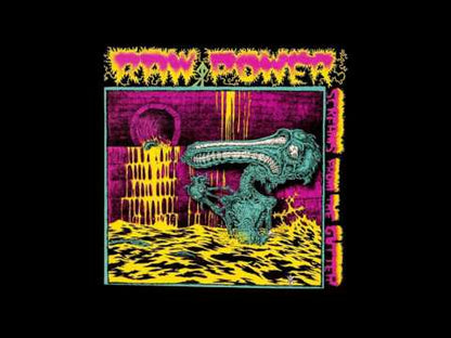 Raw Power - Screams from the gutter - LP