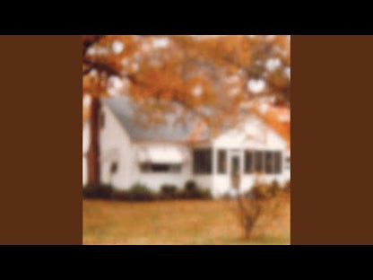 Lungfish - Rainbow For Atoms - LP - Color